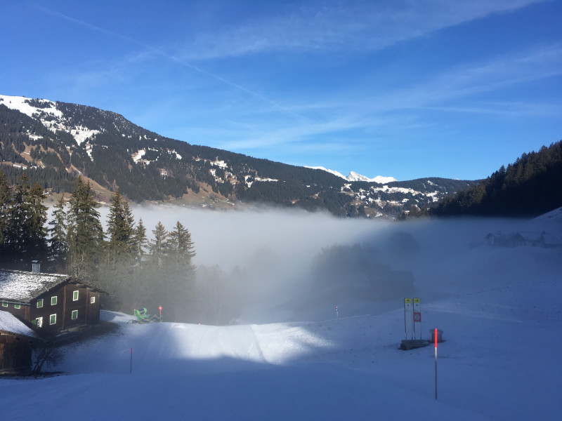 Eintauchen ins Nebelmeer