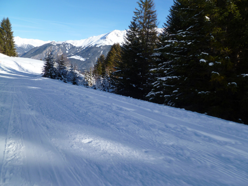 11:37 Uhr: Am Vortag waren die Bäume noch alle schön verschneit. Durch die hohen Temperaturen waren die meisten bereits wieder grün.