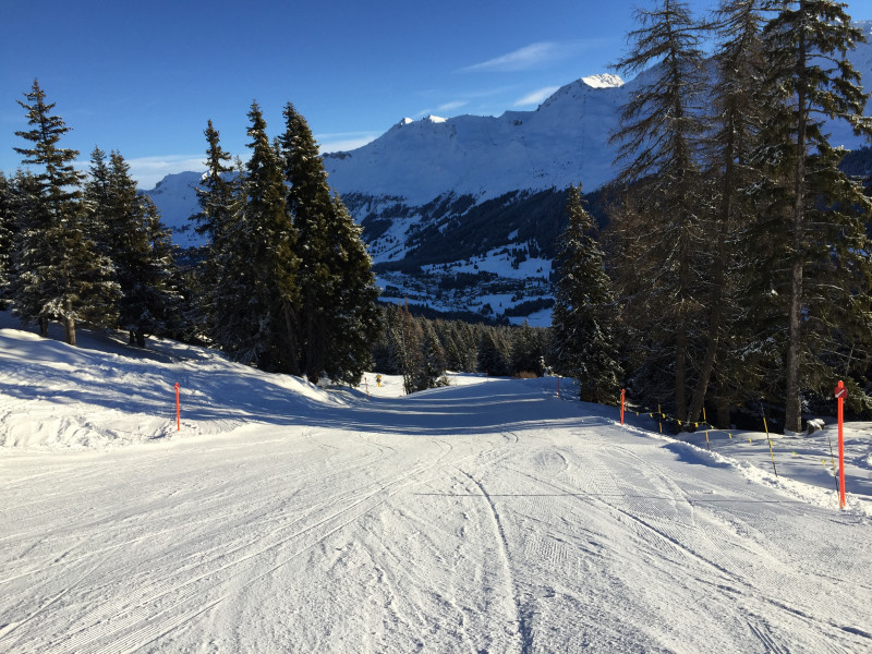 42b. Am Morgen noch sehr gut und leer. Komischerweise musste auch kurze Zeit später am Sessellift Pedra Gross kau angestanden werdern.