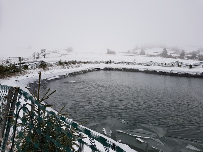 Die aktuelle Situation vom Speicherteich