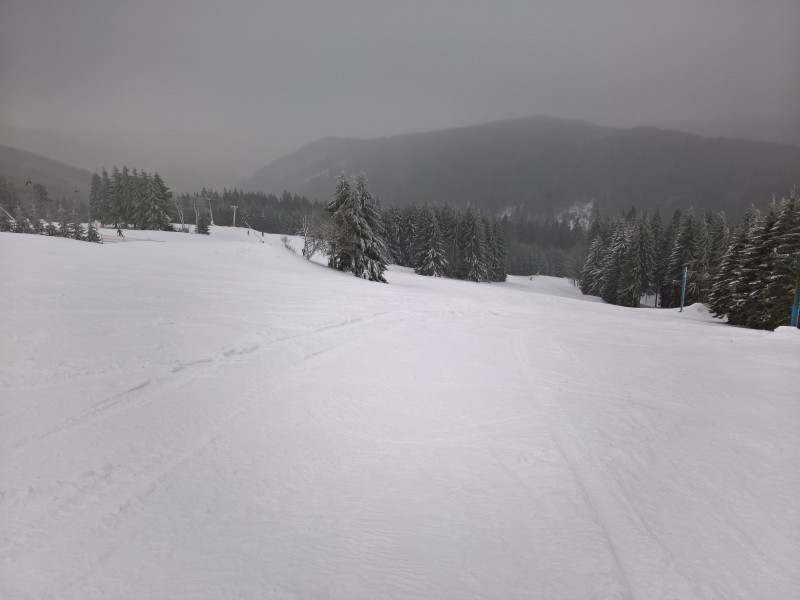 Piste 17 mit vielen Absätzen, dazu bildete sich wegen der wenigen Fahrer ein zarter Harschdeckel was es sehr unruhig macht