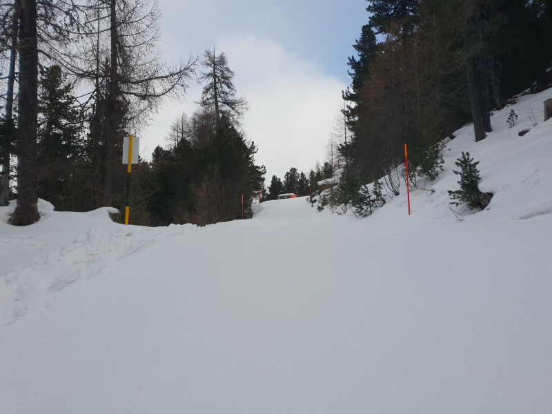 Talabfahrt Sils Maria