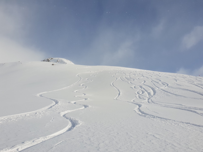 Neben der Piste ging es auch sehr gut, meistens besser als auf der Piste