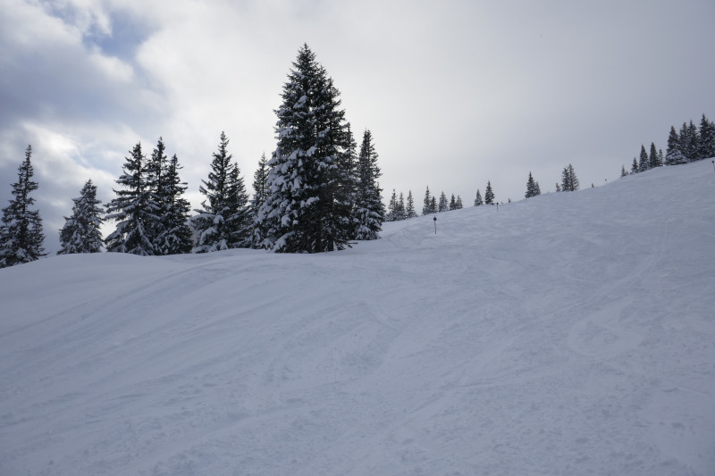 Perfekte Pisten. Leer und toller Schnee