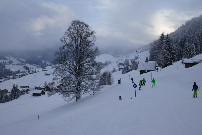 Auf dem Weg zurück nach Mittelberg muss man noch mal die 4KSB Heuberg nehmen...
