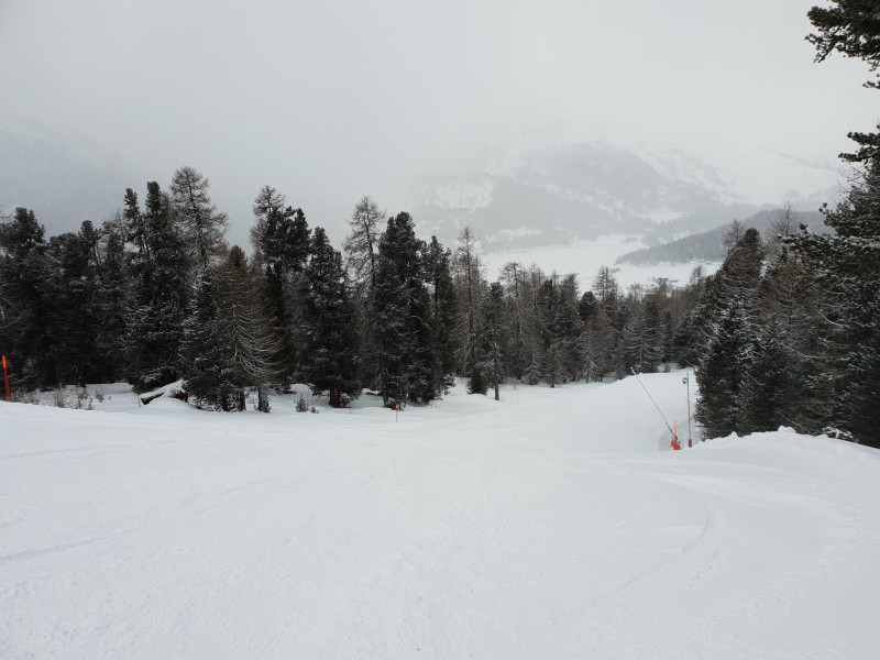Im Wald ging es wieder gut zum Fahren
