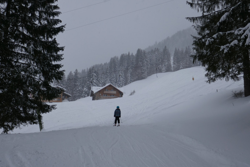 Einfahrt in den Wald