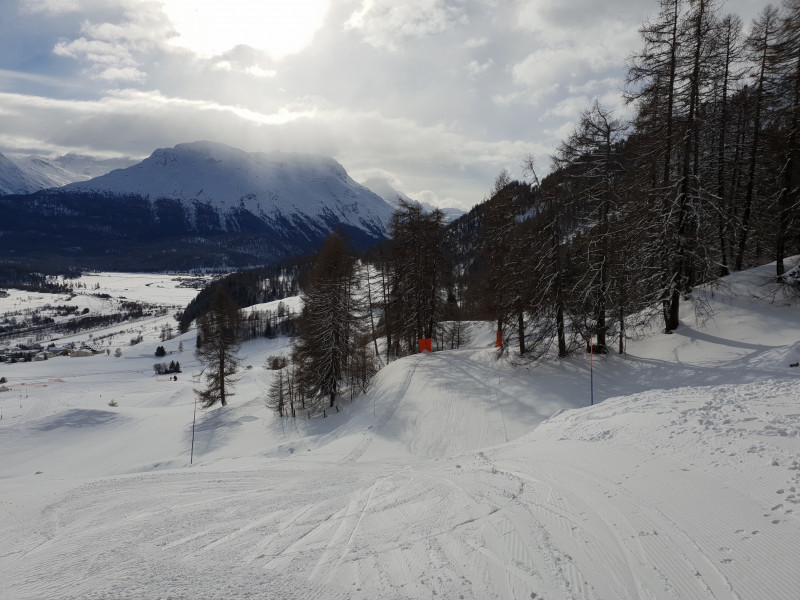 Südliche Piste: schlängelt sich durch den Wald