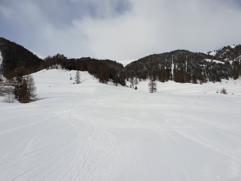 Perfekt präpariert und unverfahren