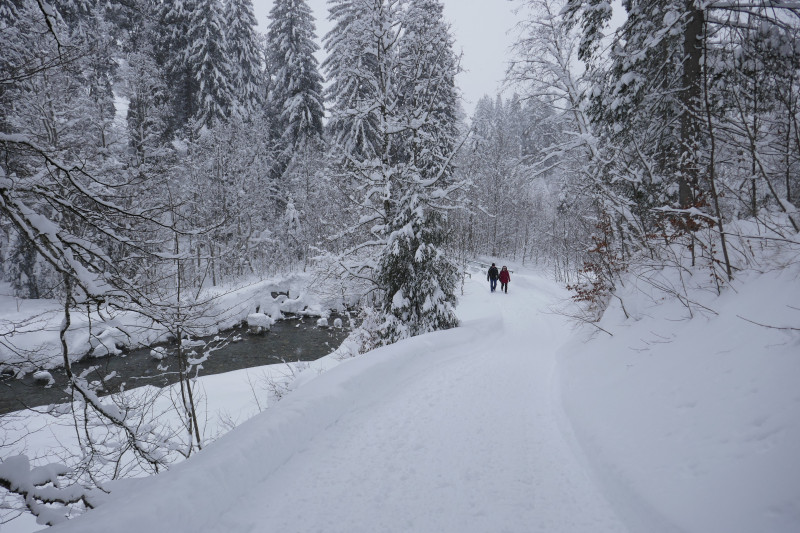 über die Breitach hinweg...