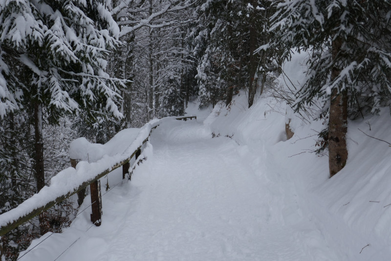 ...und hinten hoch nach Hirschegg