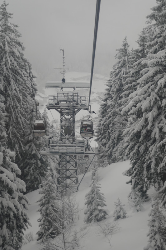 Immer wieder interessant finde ich die Fahrgeräusche der 2EUB. Ganz anders als eine EUB