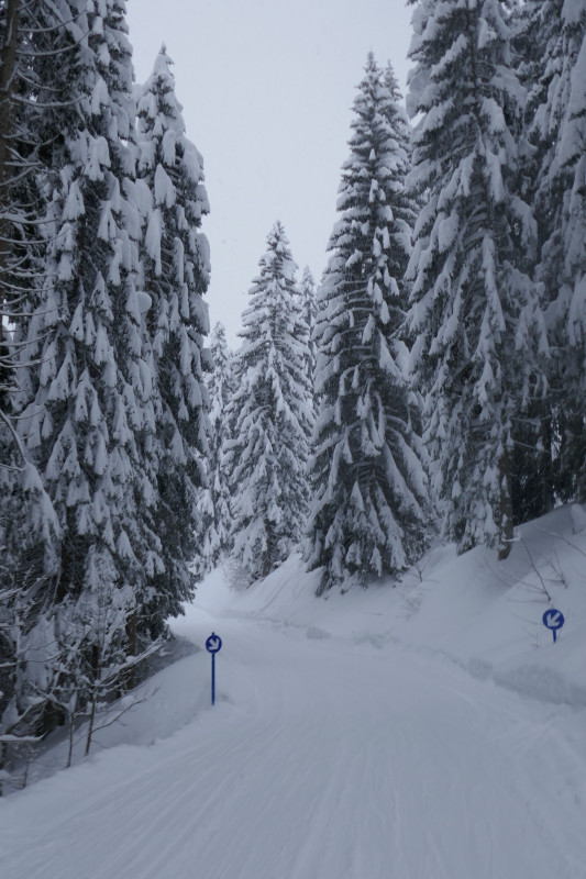 Tief winterlich auch der Weg nach Mittelberg