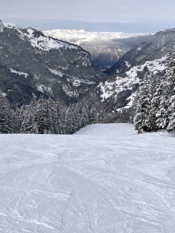Waldabfahrten in Wengen. Geben noch einmal ein völlig anderes Flair, sind aber schwer zu wiederholen. Da fehlt irgendwie ein Sessel zurück. Mit der Bahn erschien mir das zu aufwendig.