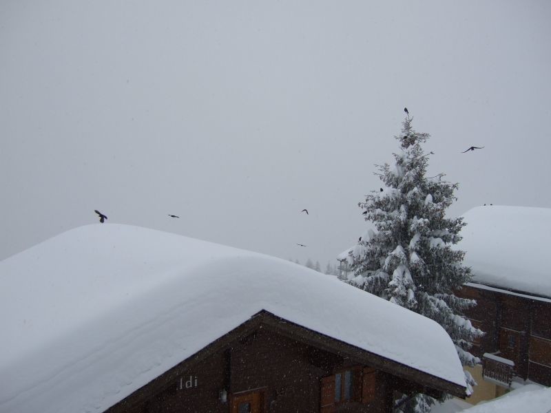 Blick auf das Matterhorn