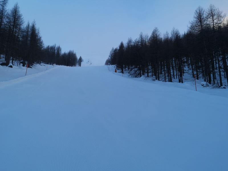 Piste 6b (Sperwerzucht)