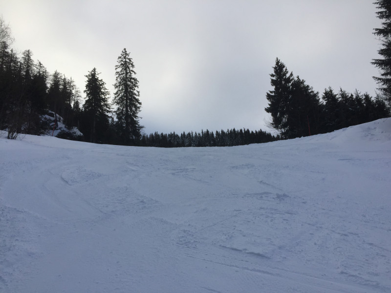 Drei Bilder Ahornbühl