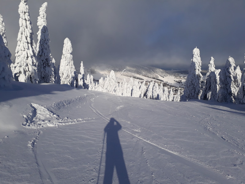 Selbstbildnis mit Touristika