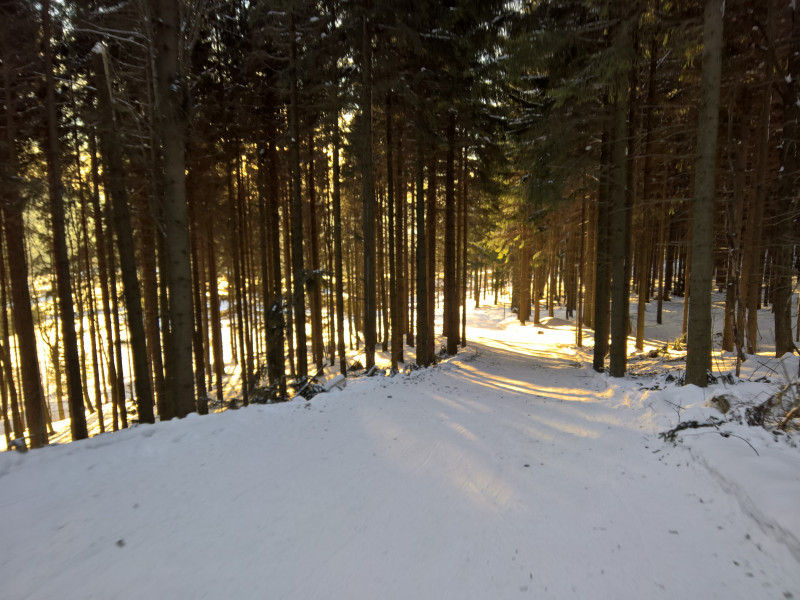 Waldweg zum blauem Hang