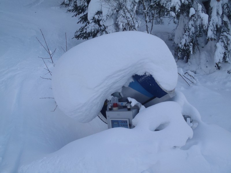 Itter, Hang vor Skiweg oben
