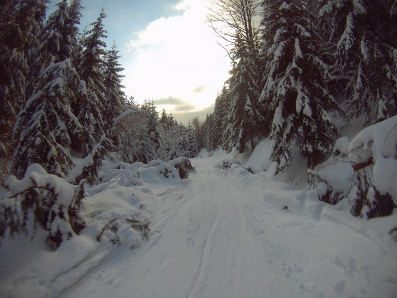 Ziehweg der Jachymovska Freeride weiter unten, es gibt eine ausreichend breite Spur die man mit federnden Beinen gut fahren kann