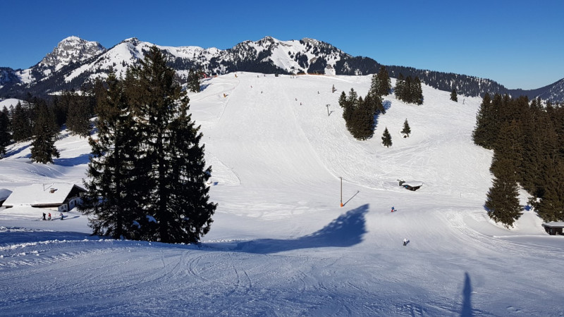 20190122_132006 (Mittel).jpg