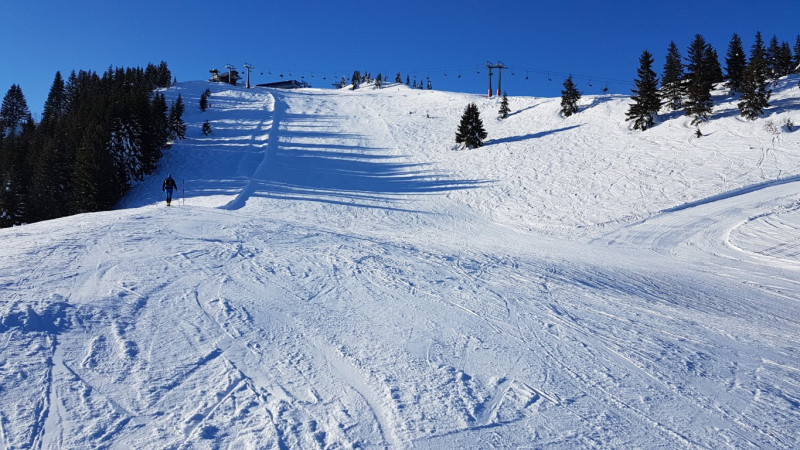 20190122_143341 (Mittel).jpg