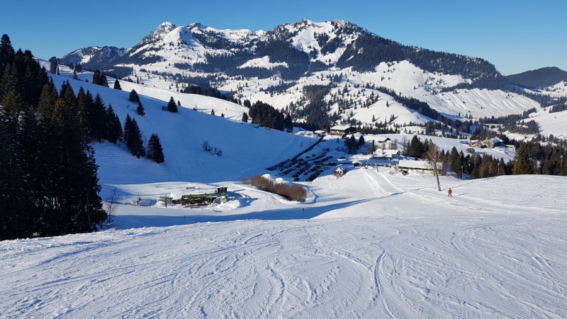 20190122_143638 (Mittel).jpg