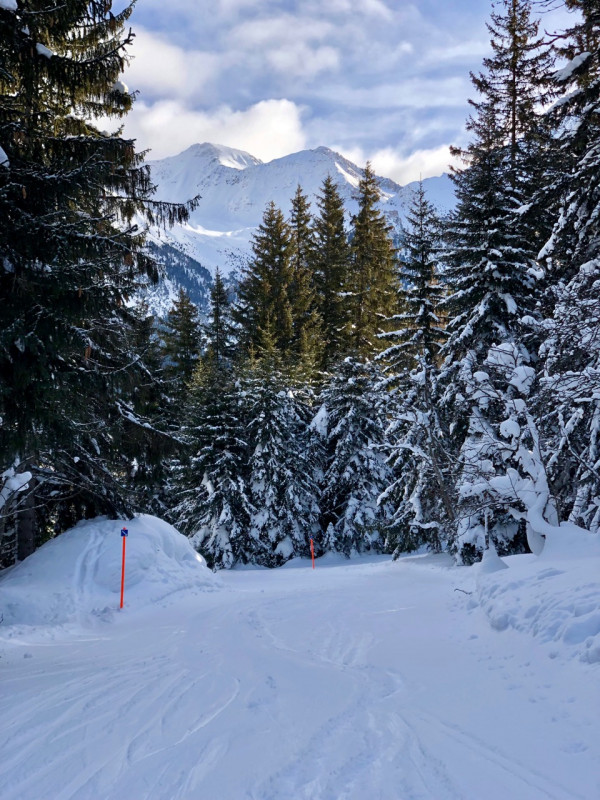 Schöne Waldabfahrten gibt es immer wieder.