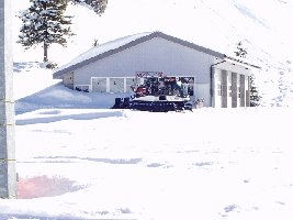 Leitwolf W vor der Schlächtismat Garage (hatte leider keine zeit mehr ihn von nahe zu fötteln)
