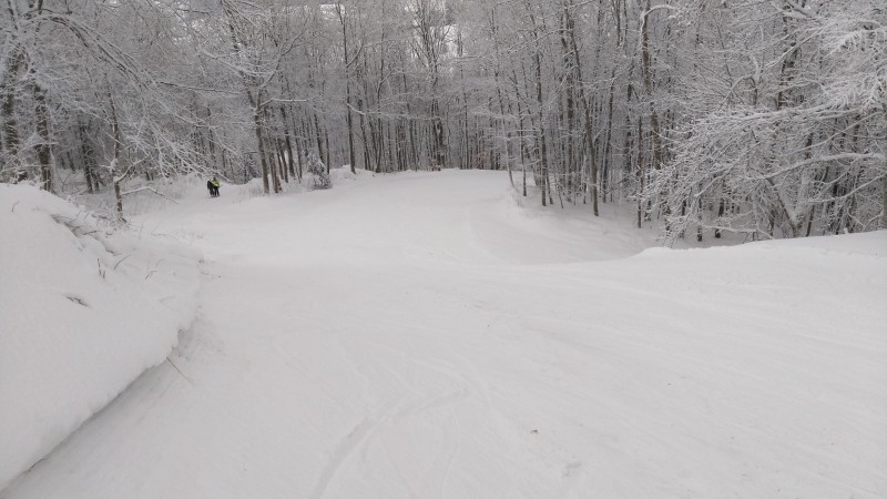 Simmelsberg Einstieg Waldabfahrt