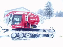 PB Polar auf Trübsee neben der Schlächtismat Garage (auch wider die erste begegnung)