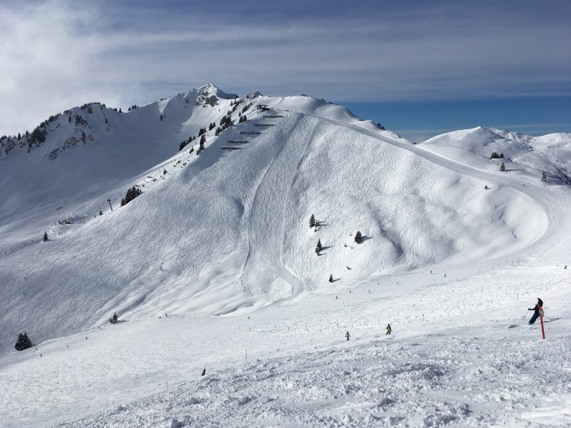 15- am W'horn - Standardbild Muttelberg