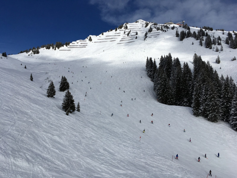 16- mal kurzzeitiges Gewusel am Horn - hat sich aber schnell wieder aufgelöst, viel los war hier auch heute nicht