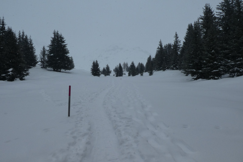 Savognin 021 (2).JPG