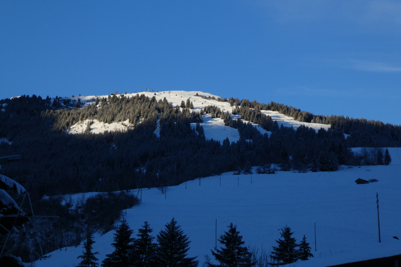 Savognin 065 (2).JPG