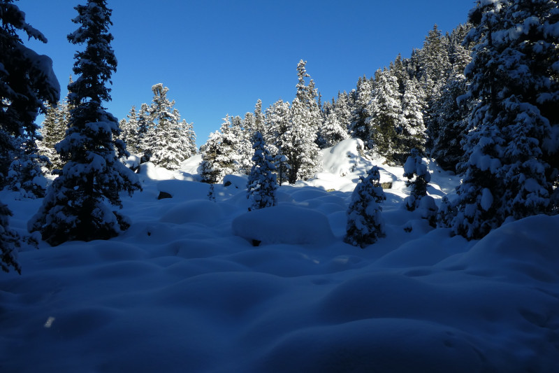 Savognin 092 (2).JPG