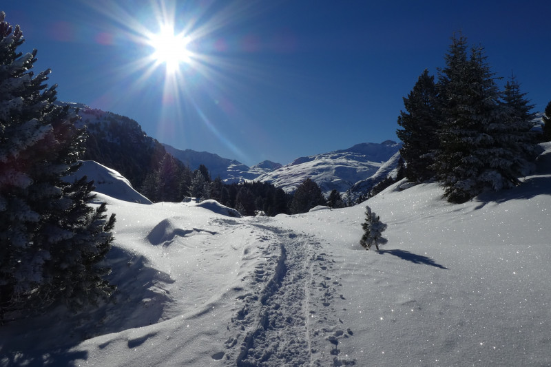 Savognin 158 (2).JPG