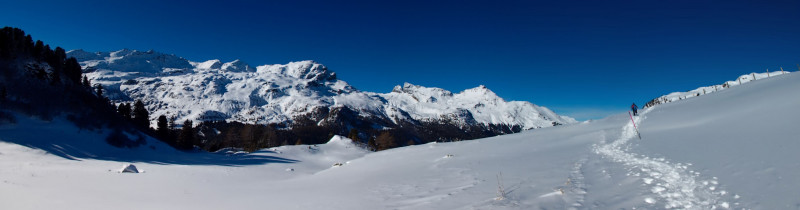 Savognin 166_stitch.jpg