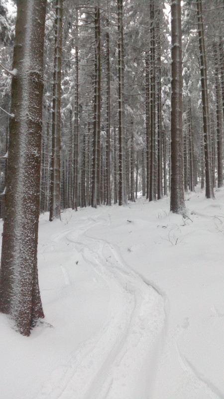 Freeriden am Schwedenhang :-)