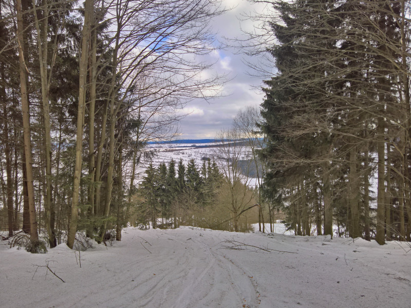 Baumbruch auf der alternativen Abfahrt