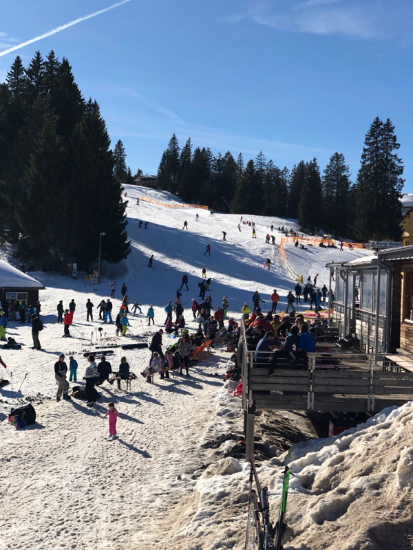 Gewusel am Grafenmatt. Wie man das halt so kennt am Feldberg ... ;)