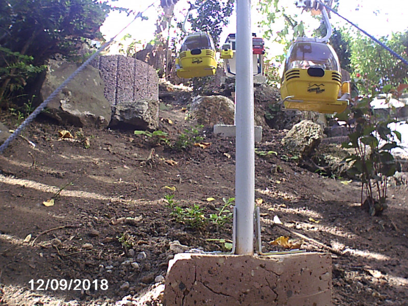 Bilder vom letzten Jahr