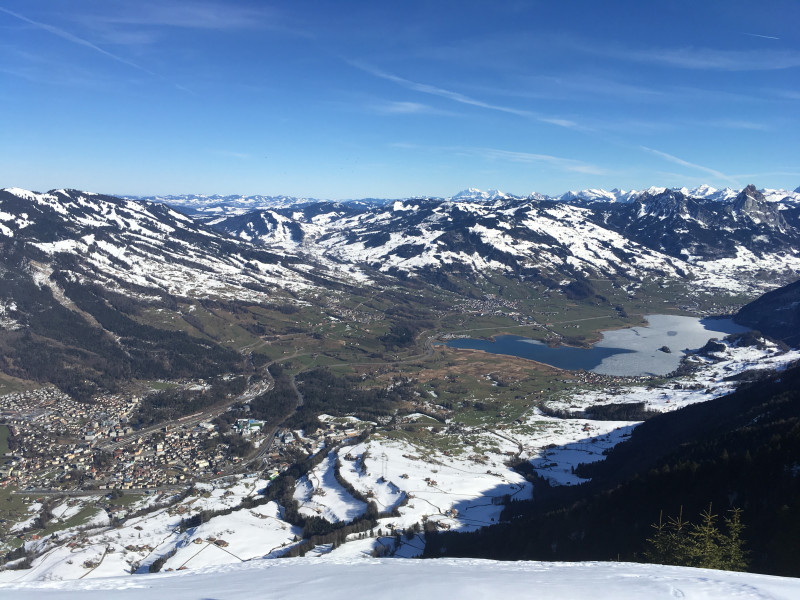 Bilck von Rigi Scheidegg auf Goldau, Sattel und den Lauerzersee.