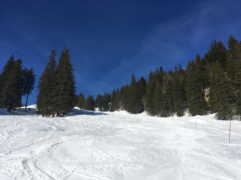 Skipiste Rigi Burggeist - Obergschwend