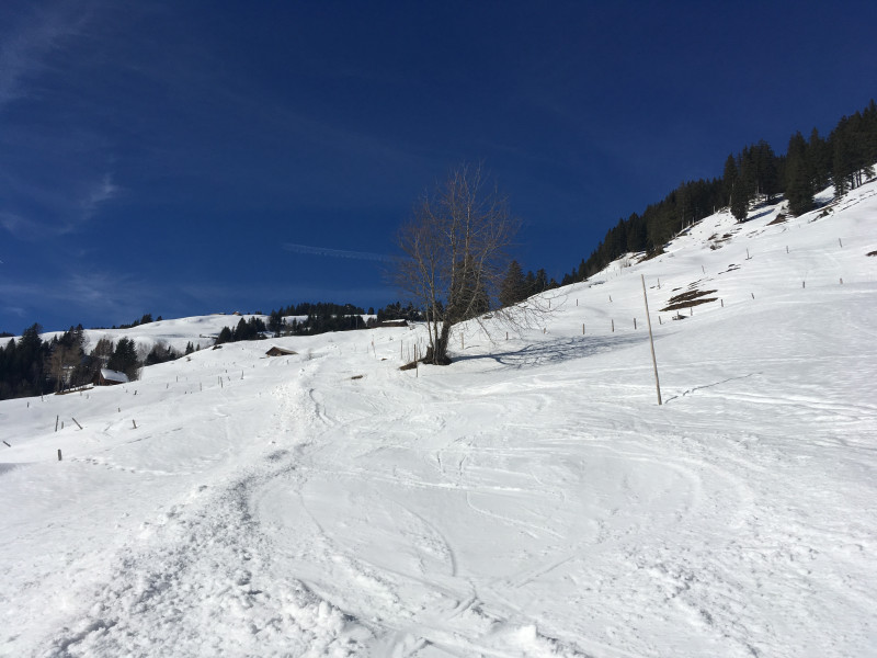 Skipiste Rigi Burggeist - Obergschwend
