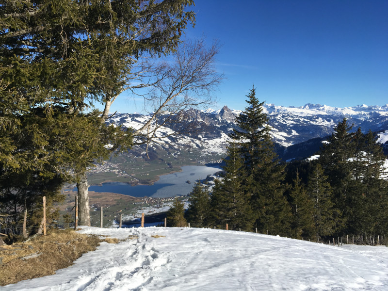 Ausblick auf den Lauerzersee von der Skipiste Rigi Burggeist - Obergschwend.
