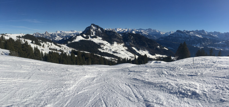 Nach ein paar Wiederholungsfahrten an der Seilbahn Obergschwend - Rigi Burggeist ging es dann über einen Ziehweg zurück zum Skilift Odermatt.