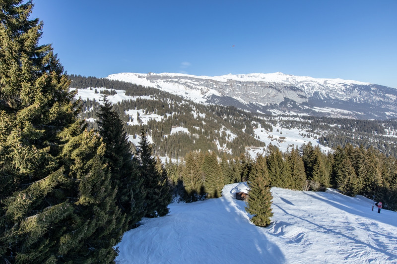 Unterer Teil der 64.