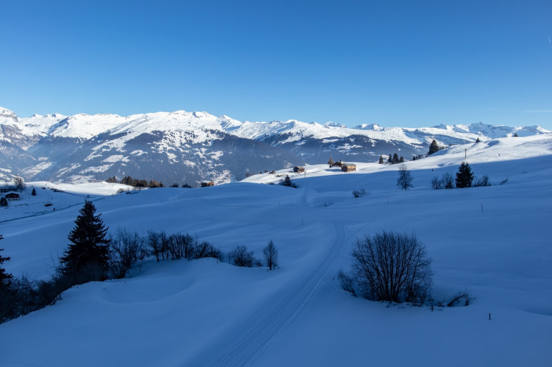 Schweiz 164-1_ergebnis.jpg